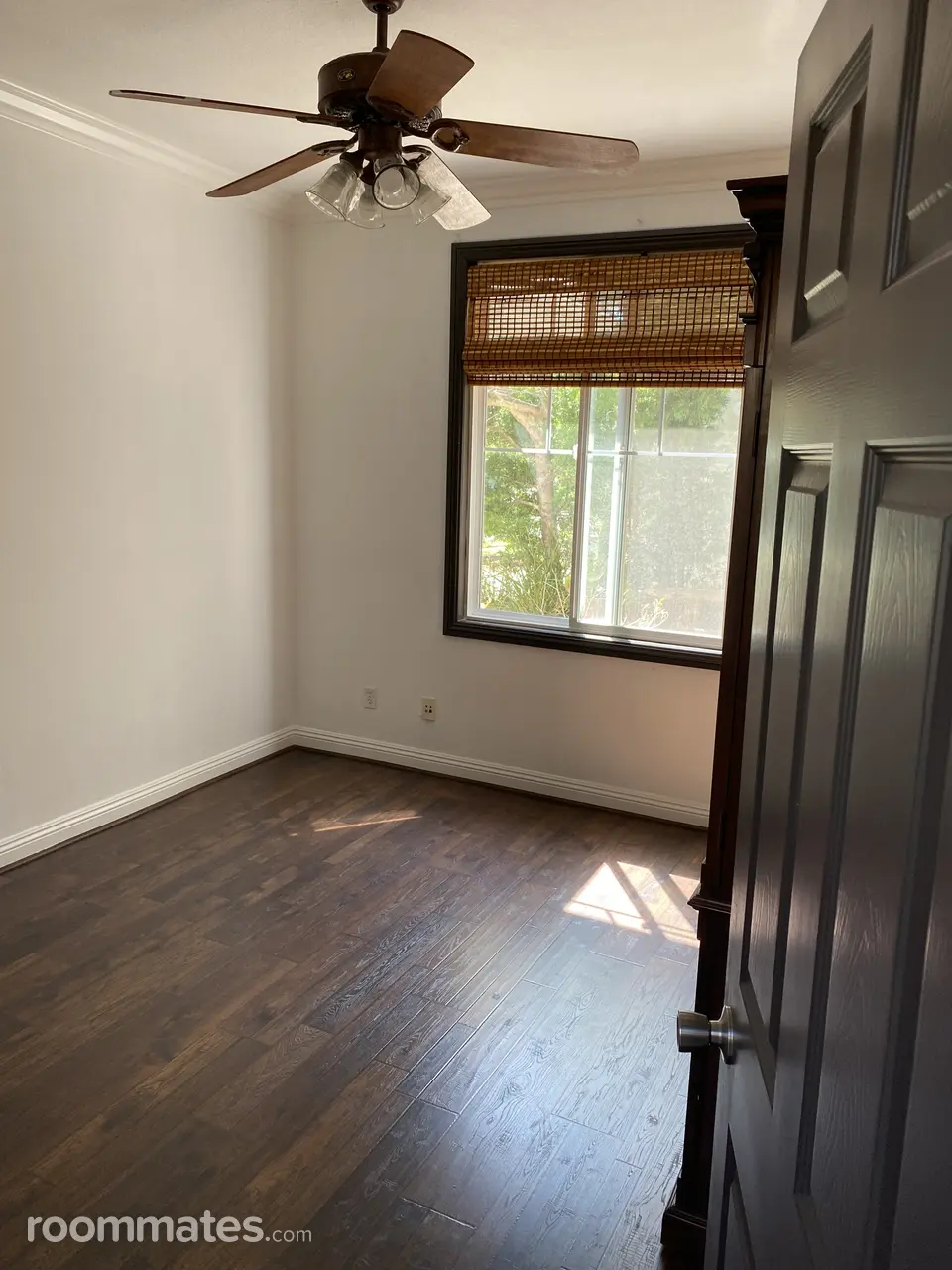 Profile photo 2 of 8