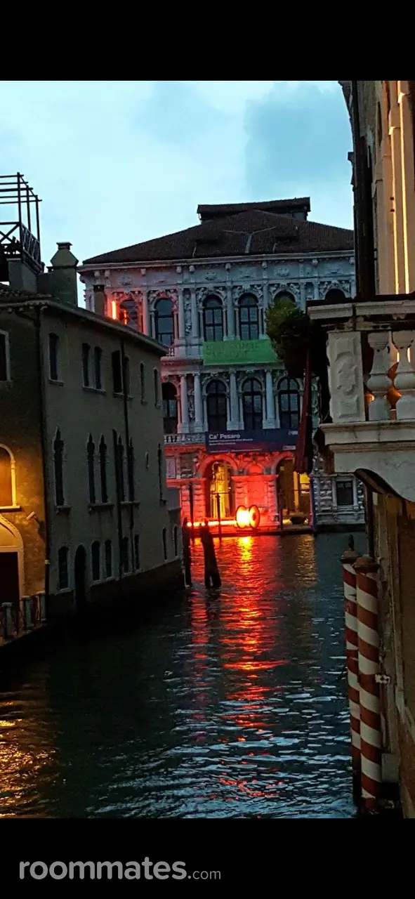 Profile photo 2 of 4