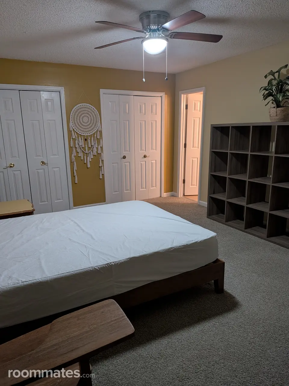 Profile photo 7 of 11