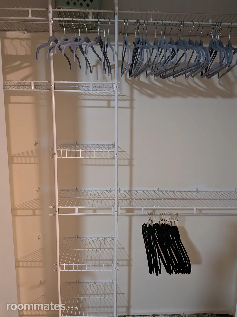 Profile photo 8 of 11