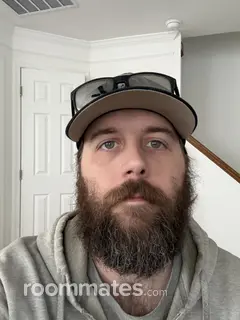 Roommate looking Manassas, VA, $900