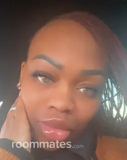 Roommate looking Newport News, VA, $1100