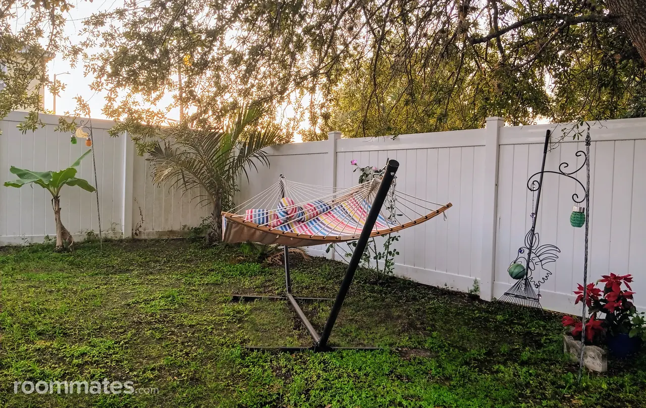 Profile photo 10 of 11