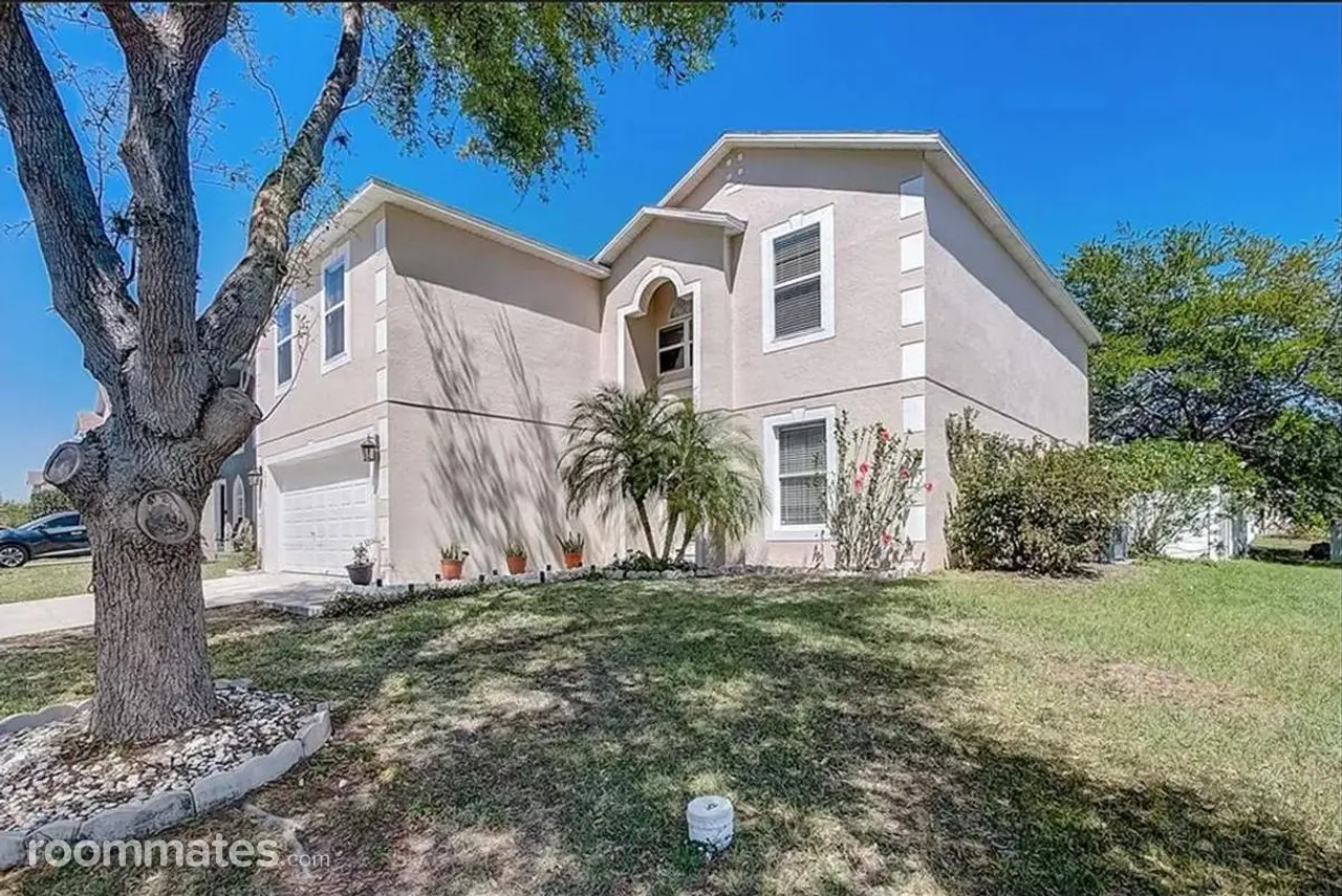 Profile photo 4 of 11