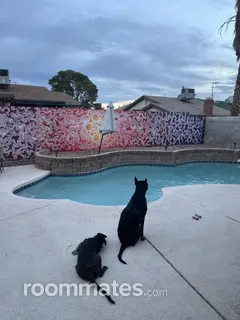 Room for rent in Las Vegas, NV $450, house