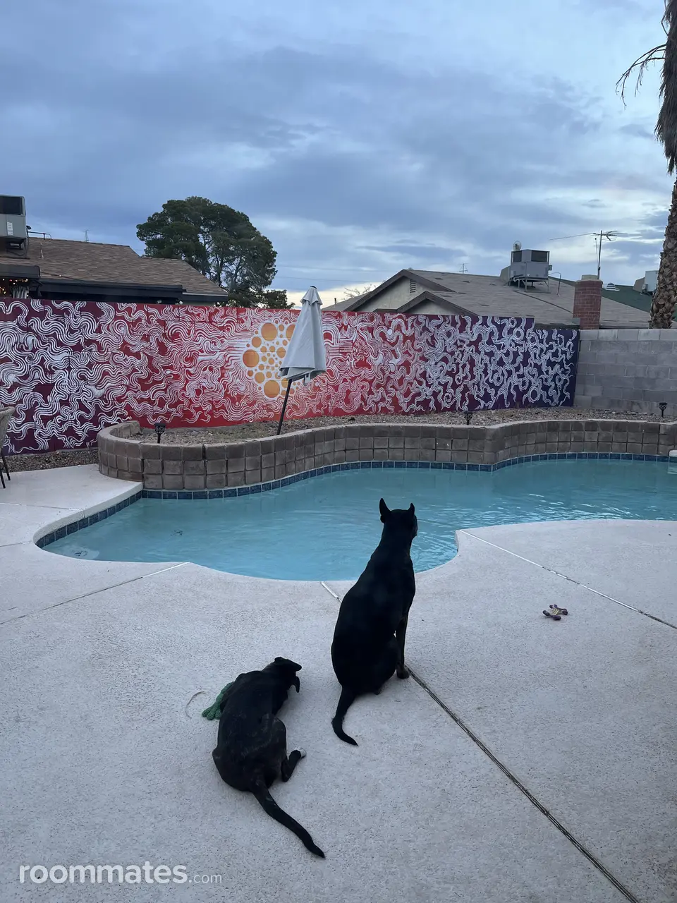 Profile photo 1 of 7