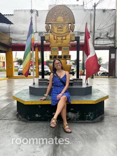 Roommate looking Denver, CO, $600