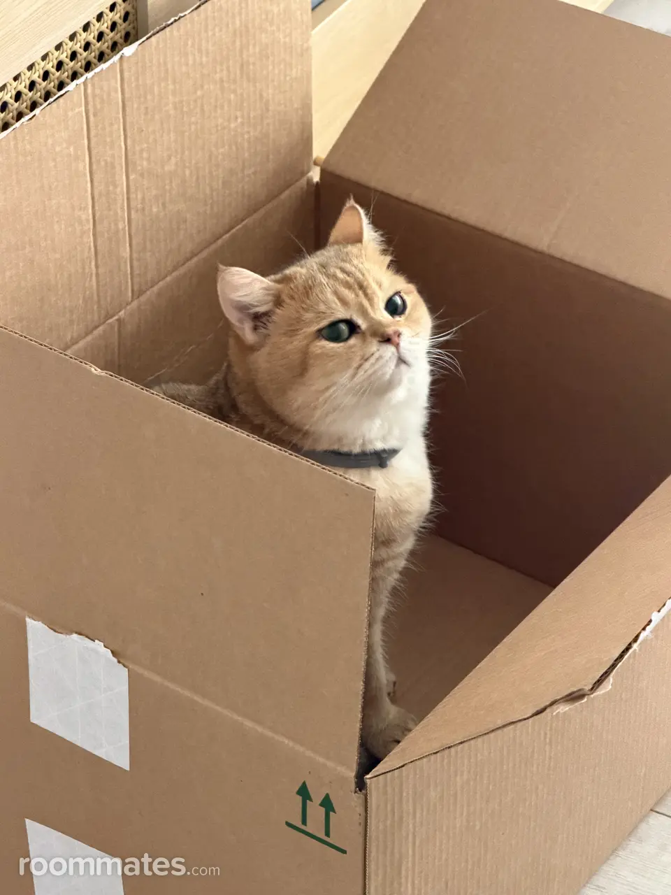 Profile photo 2 of 2