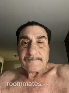 Roommate looking Hamden, CT, $800