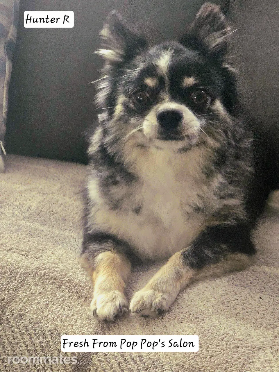 Profile photo 12 of 15