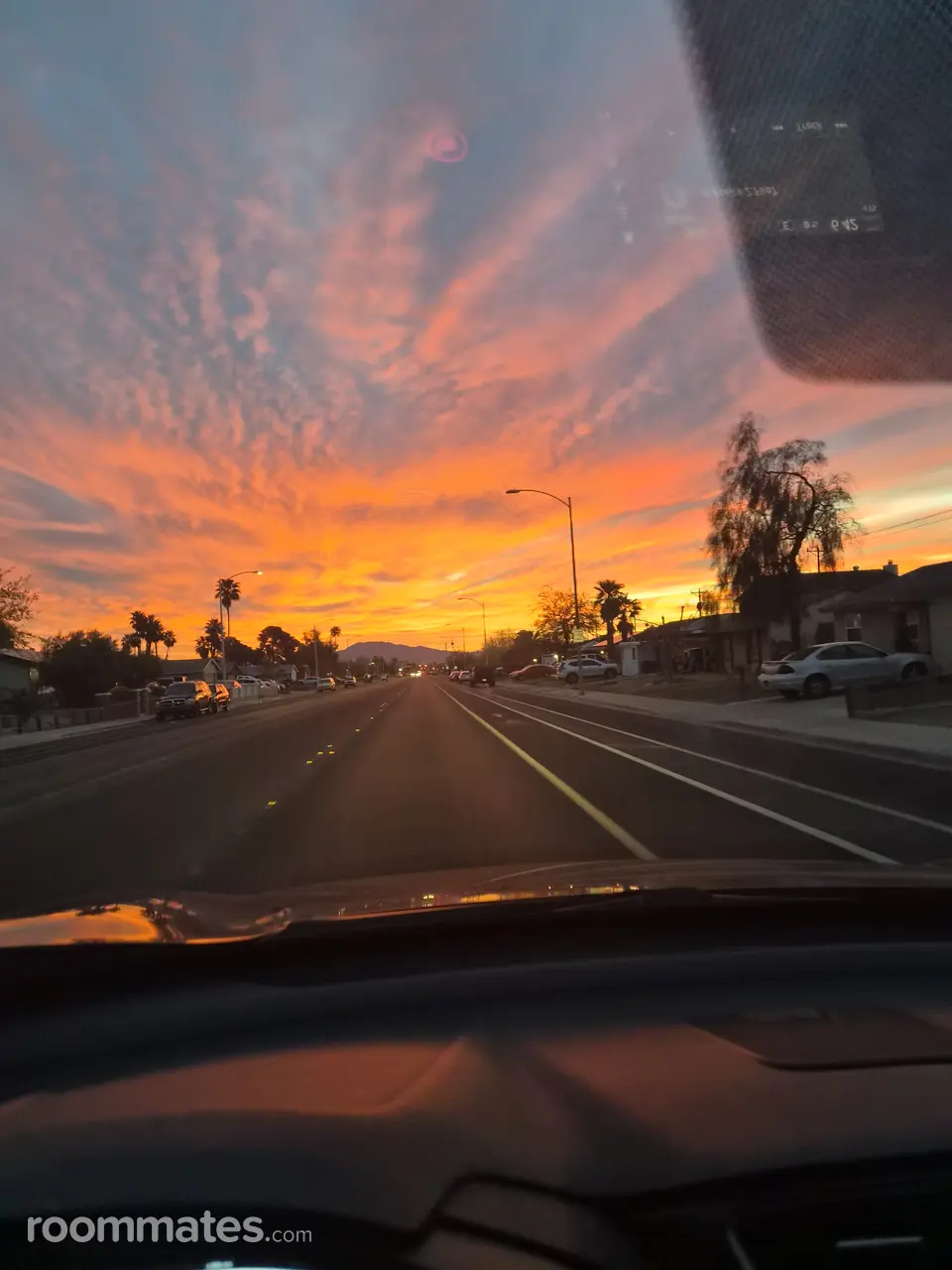 Profile photo 1 of 1