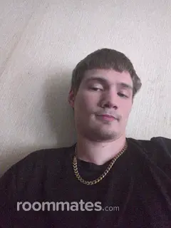 Roommate looking Mayfield, NY, $800