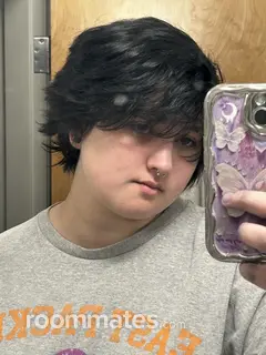 Roommate looking Phoenix, AZ, $1000