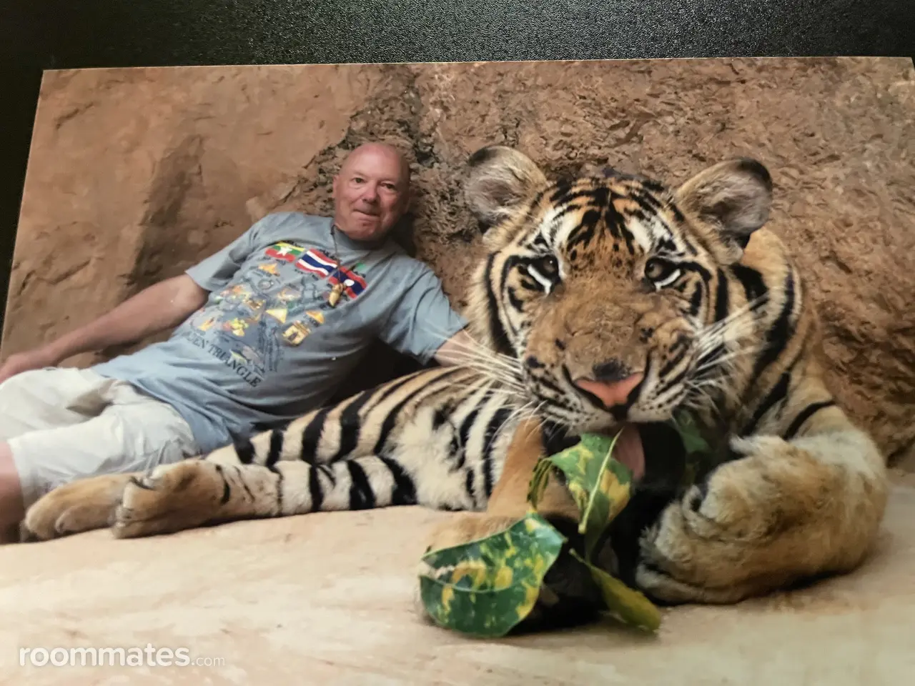 Profile photo 5 of 6