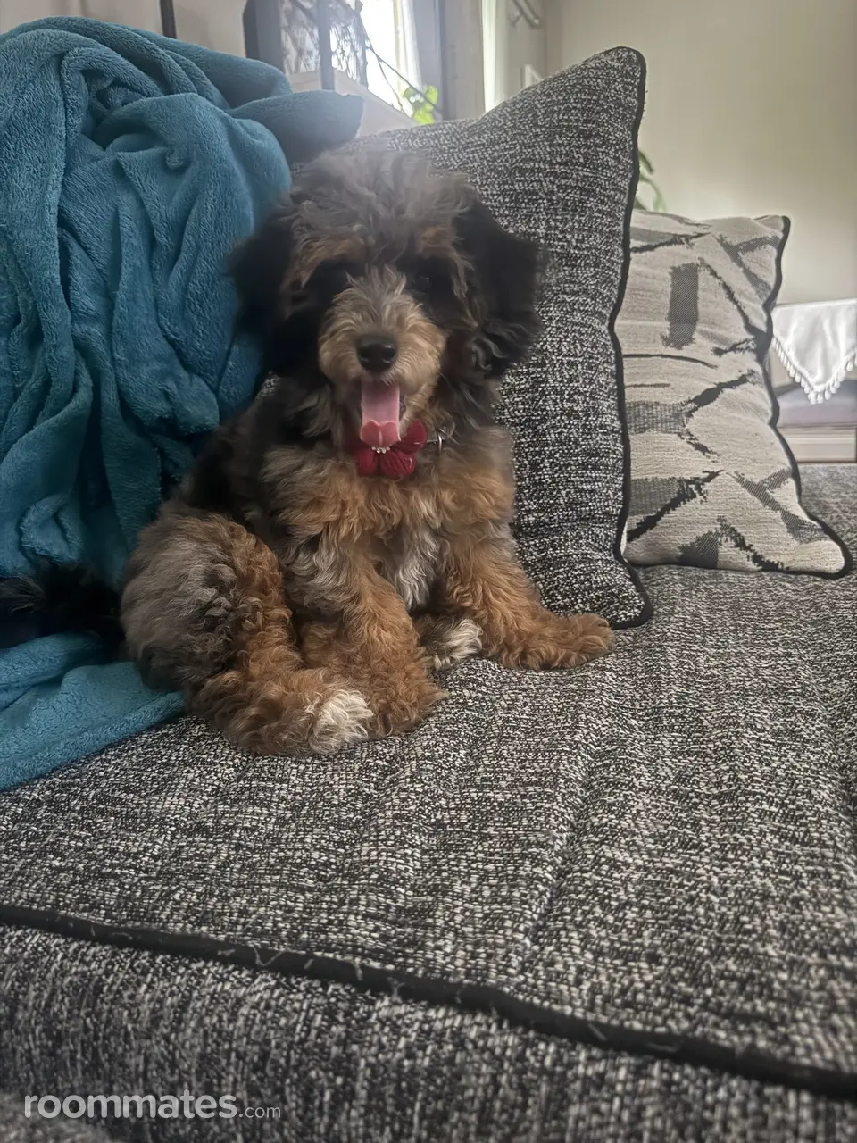 Profile photo 9 of 9