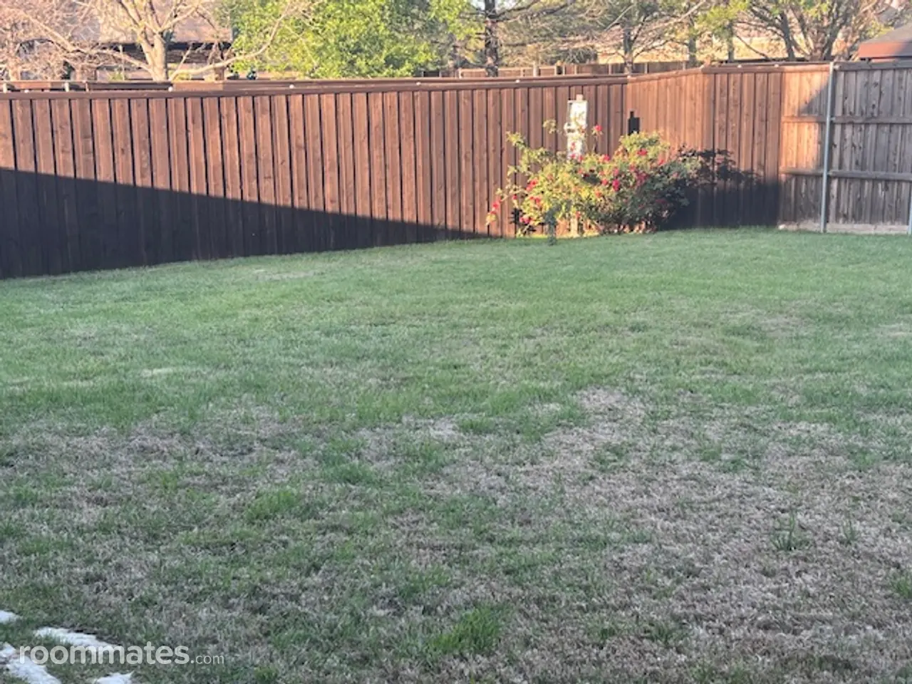 Profile photo 9 of 10