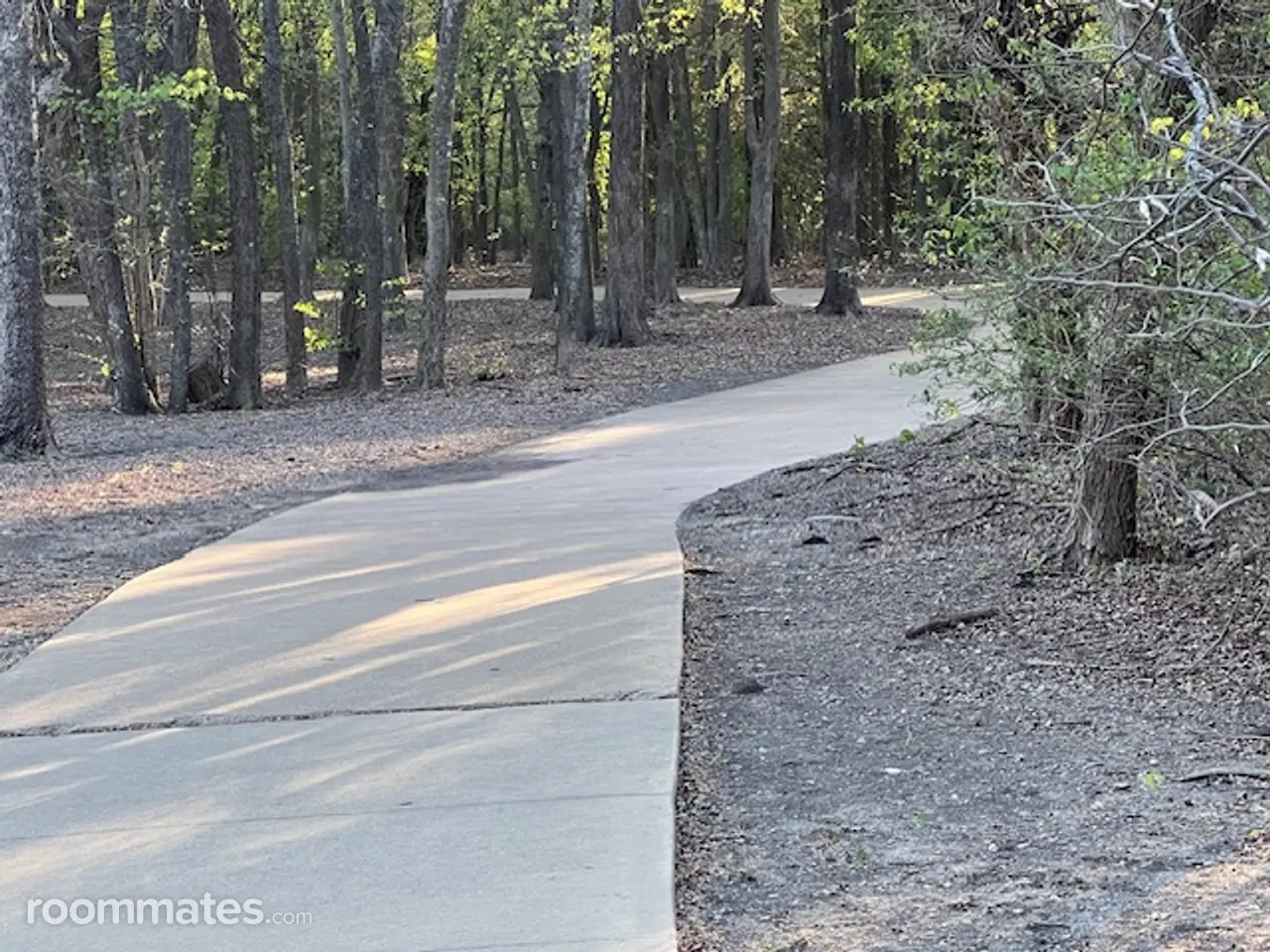 Profile photo 5 of 10