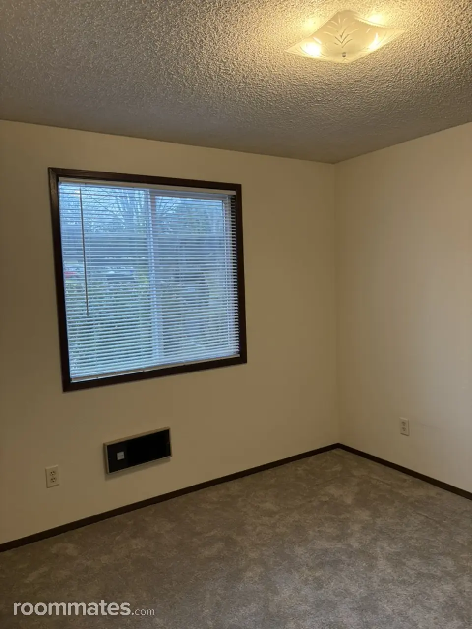 Profile photo 6 of 11