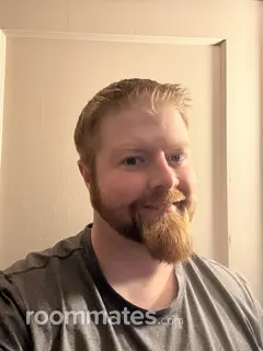 Roommate looking Glenside, PA, $1100