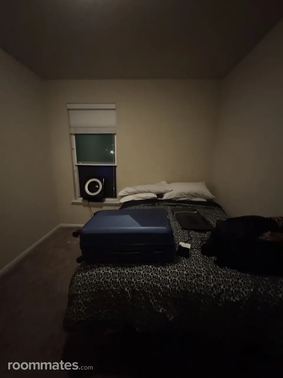 Profile photo 13 of 21