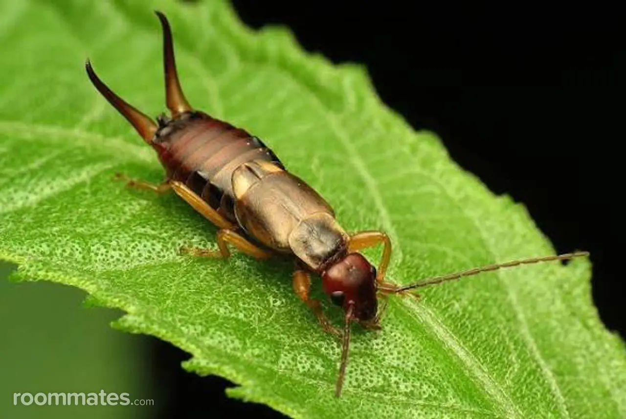 Profile photo 1 of 1