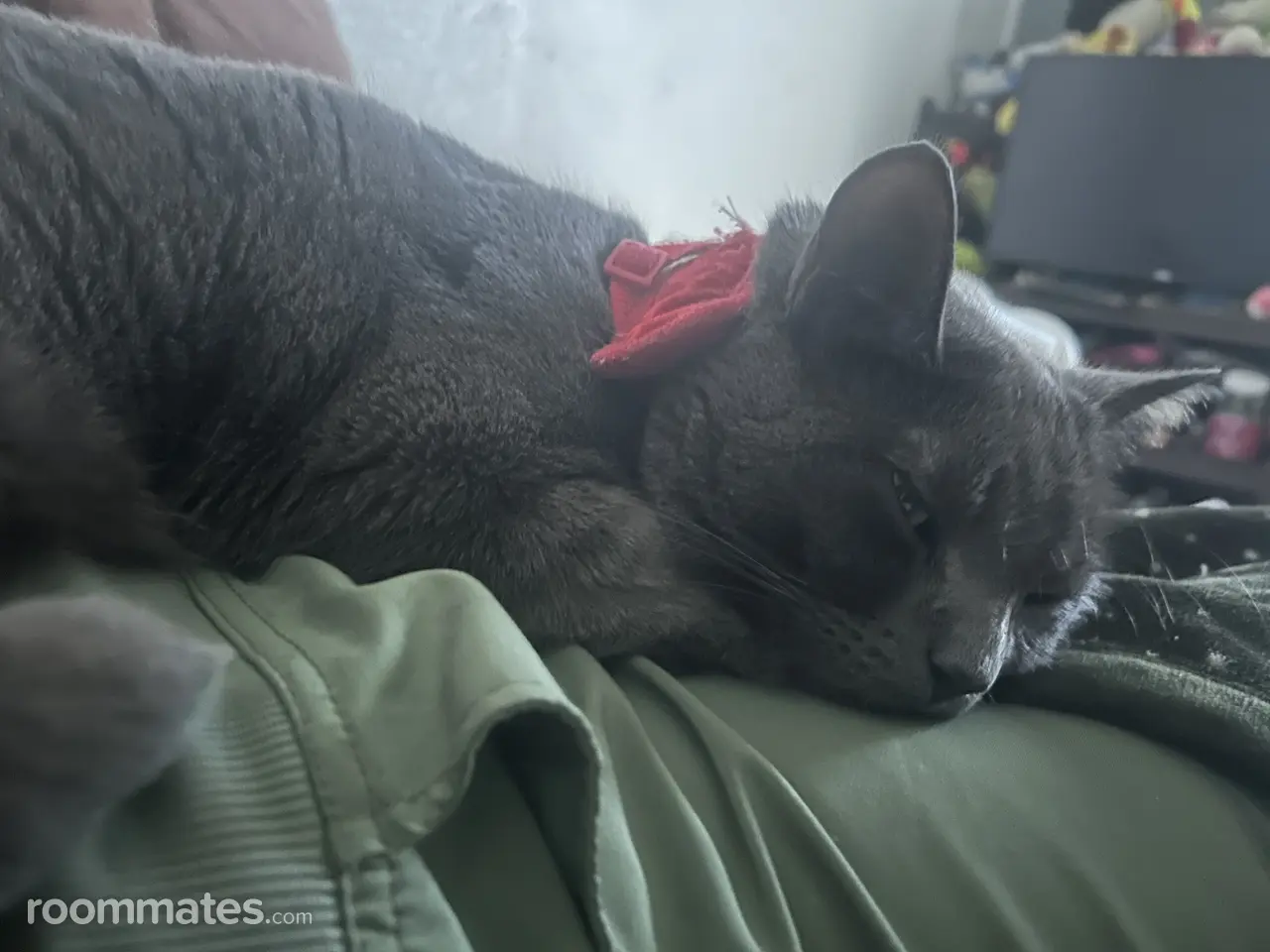 Profile photo 1 of 1