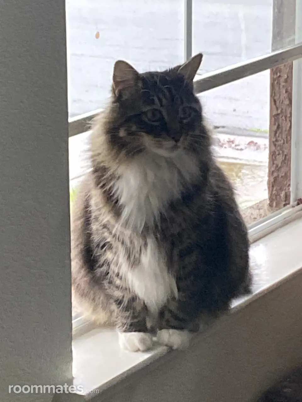 Profile photo 1 of 2