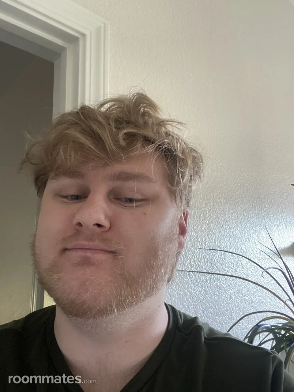 Profile photo 2 of 2