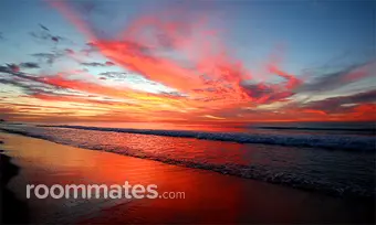 Roommate looking Ocean City, MD, $1500