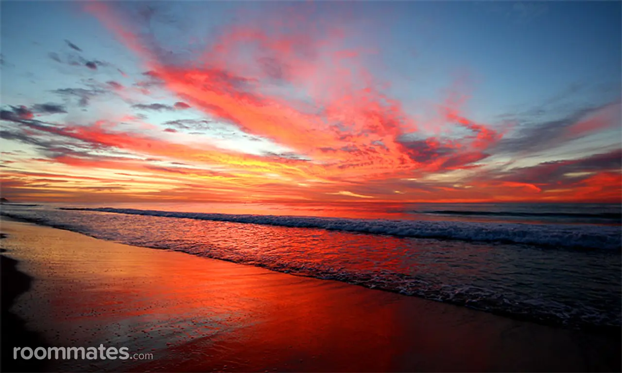 Profile photo 1 of 1