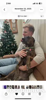 Roommate looking Rosenberg, TX, $800