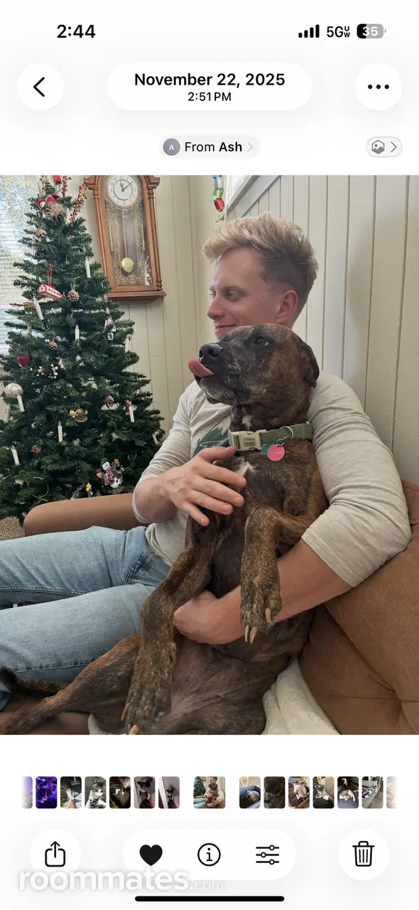 Profile photo 1 of 1