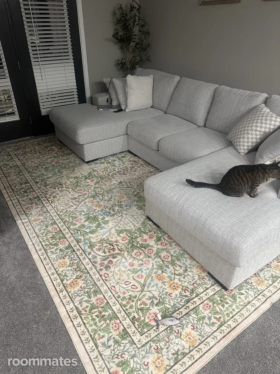 Profile photo 2 of 4