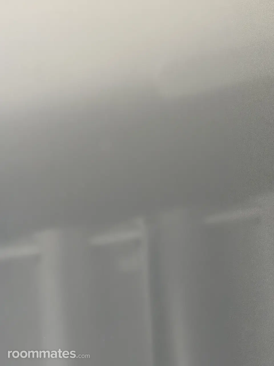 Profile photo 2 of 2