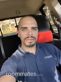 Roommate looking Bellaire, TX, $800