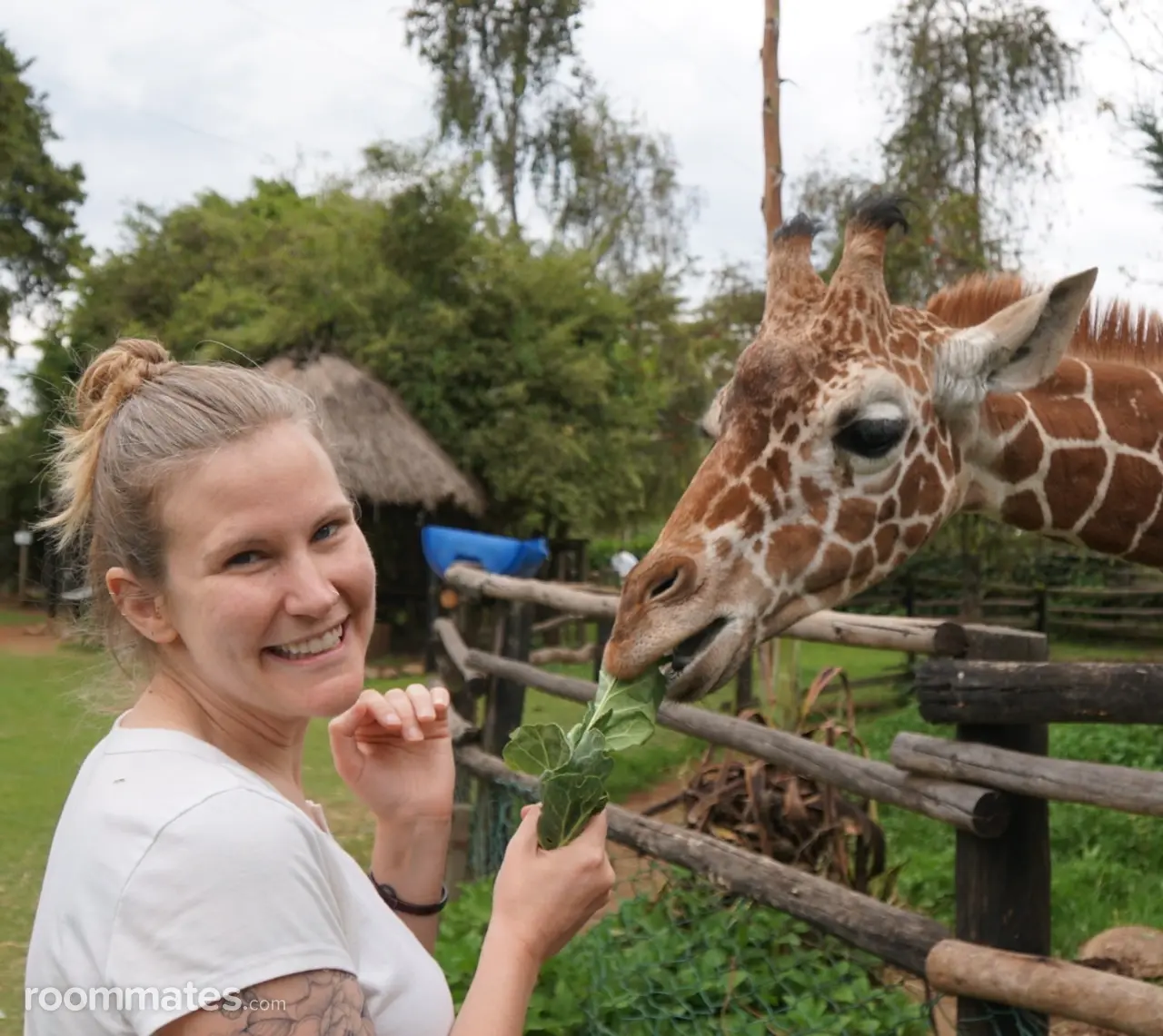 Profile photo 13 of 17