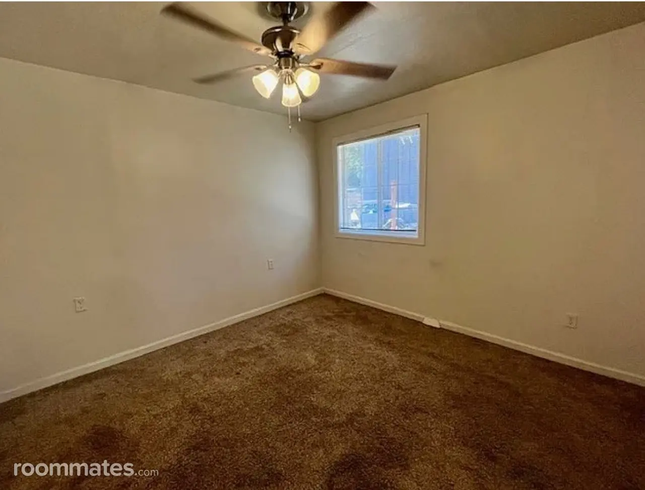 Profile photo 4 of 11