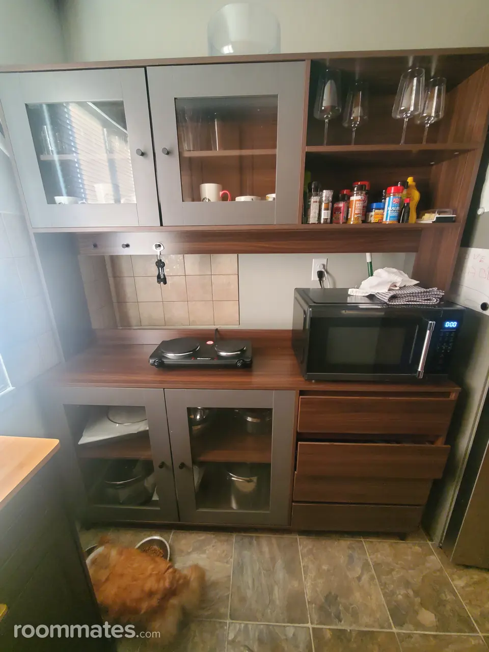 Profile photo 5 of 11