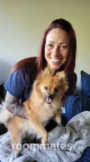 Roommate looking Palatine, IL, $2000