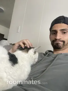 Roommate looking Northridge, CA, $800