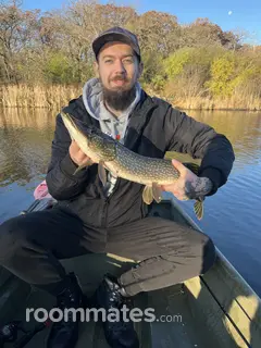 Roommate looking Barrington, IL, $1000