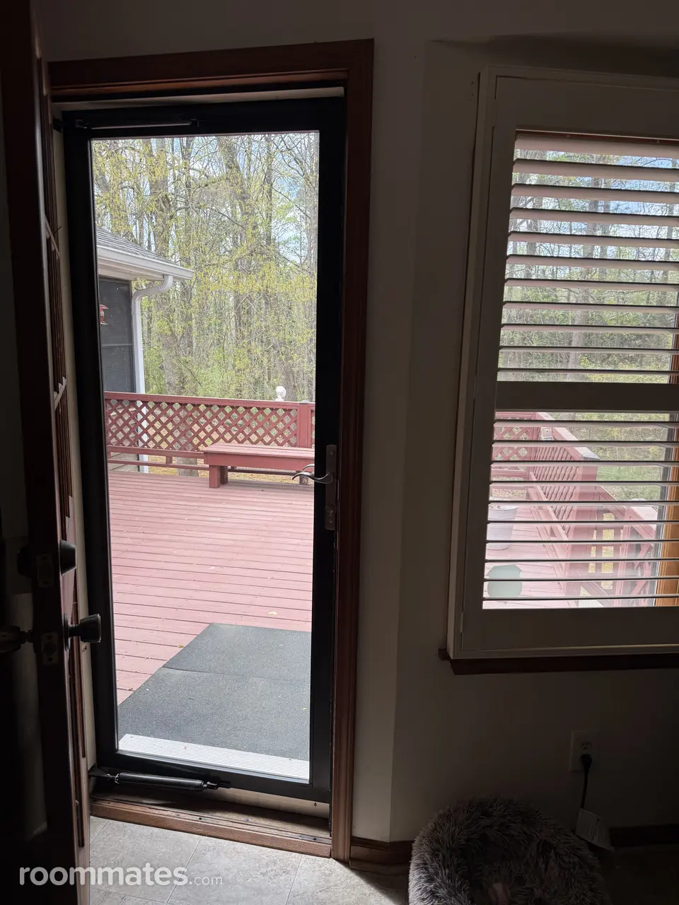 Profile photo 2 of 4