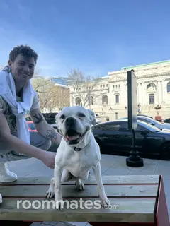 Roommate looking Boston, MA, $2000