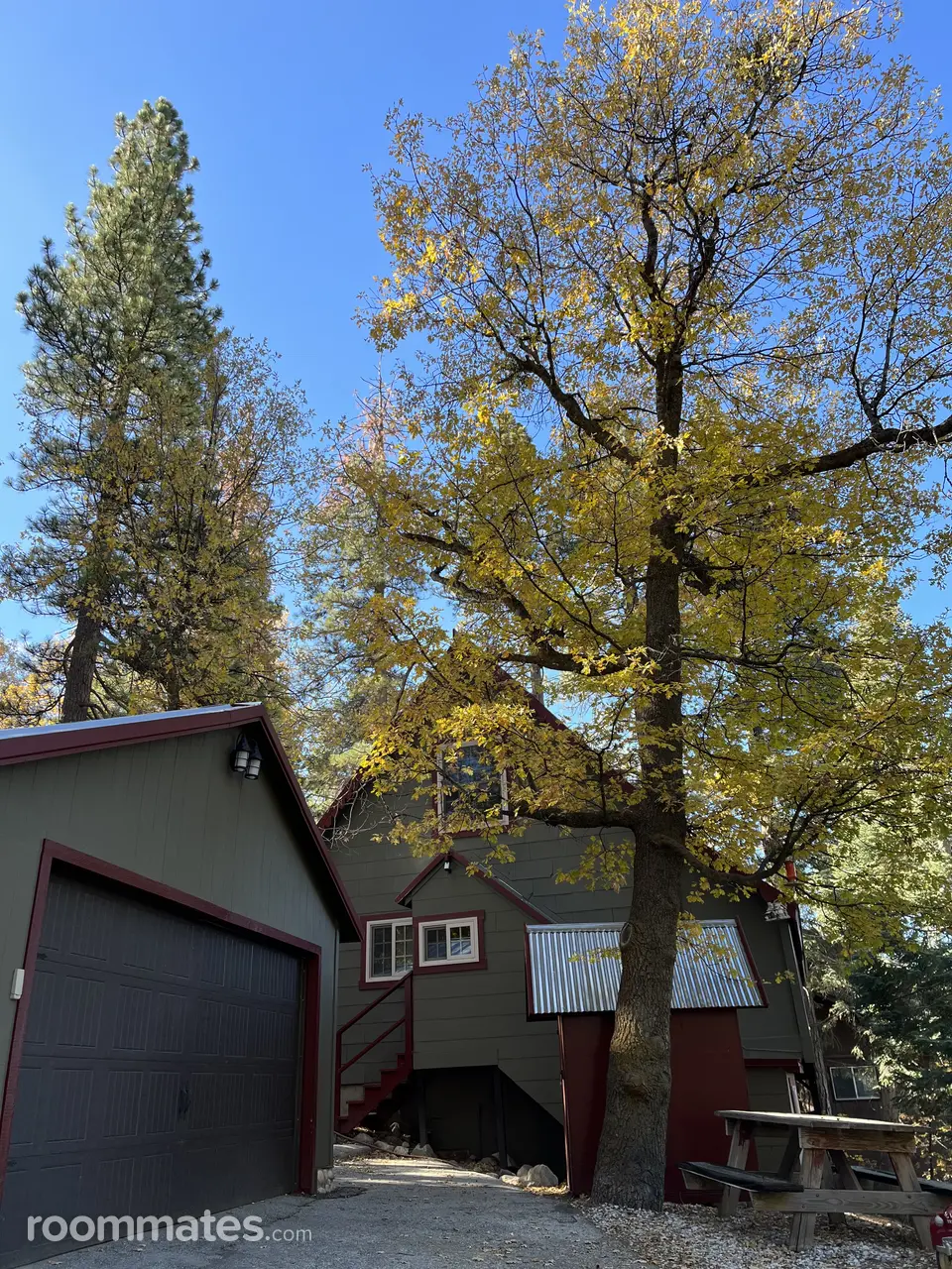 Profile photo 1 of 11