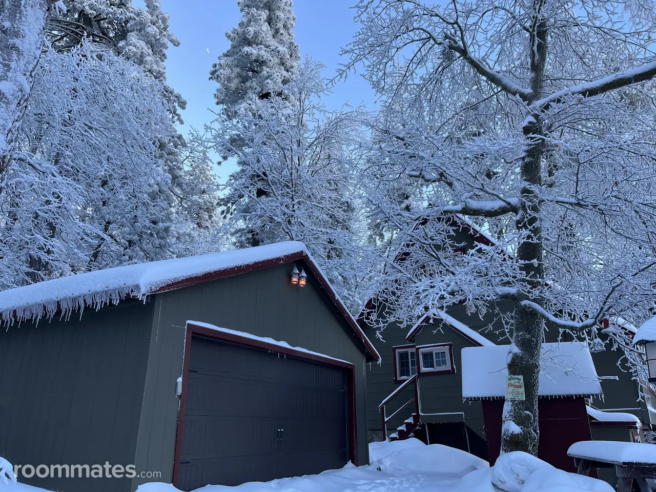 Profile photo 8 of 11