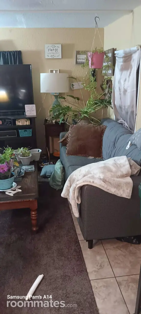 Profile photo 2 of 8