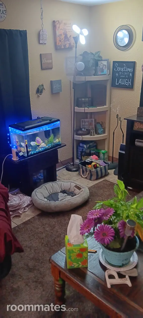 Profile photo 3 of 8