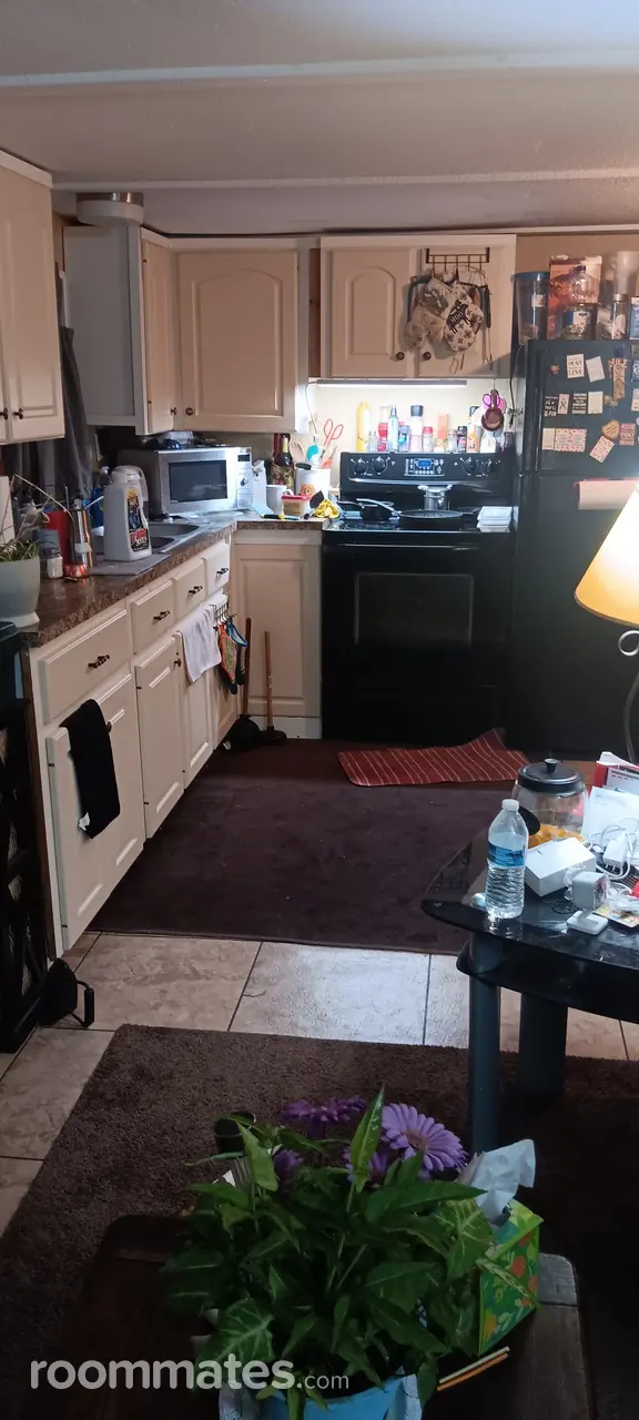 Profile photo 4 of 8