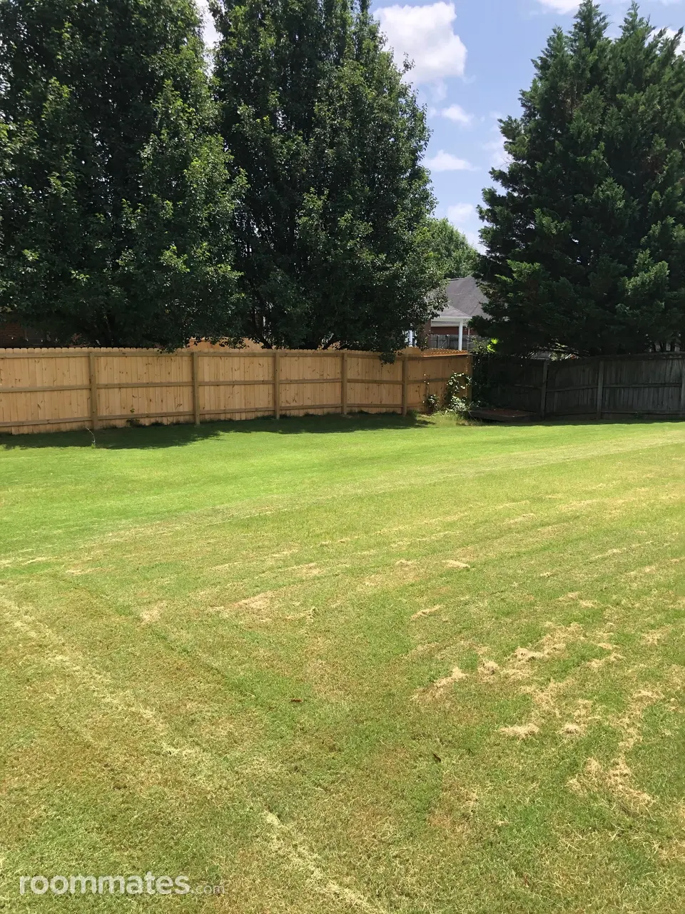 Profile photo 2 of 4