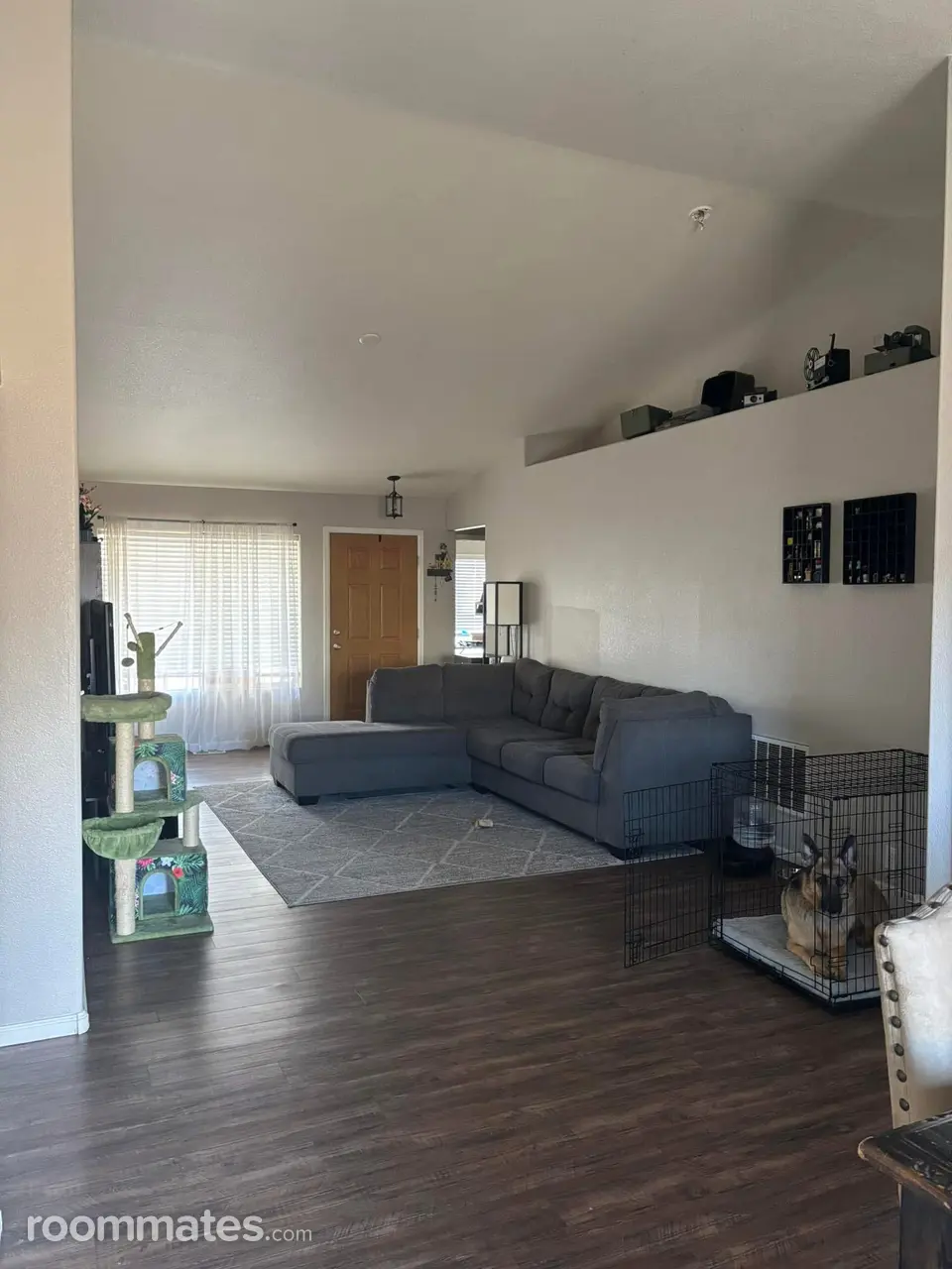 Profile photo 6 of 8